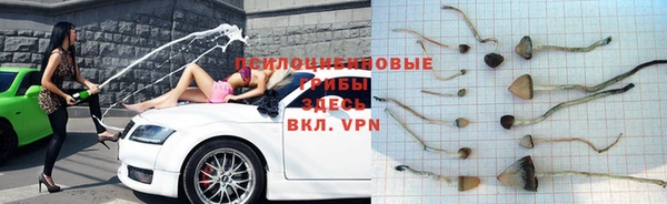 кокс Алзамай