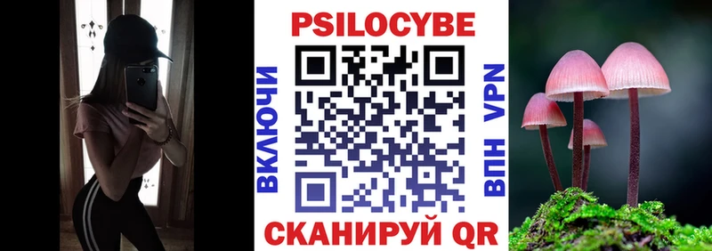 дарк нет официальный сайт  Лесосибирск  Галлюциногенные грибы GOLDEN TEACHER 